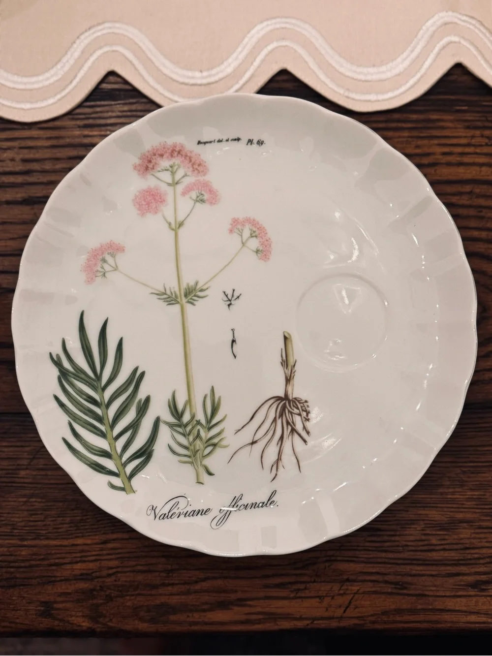 TASTE SETTER COLLECTION® Botanical Green and Pink  Scallop plates  Set - 4